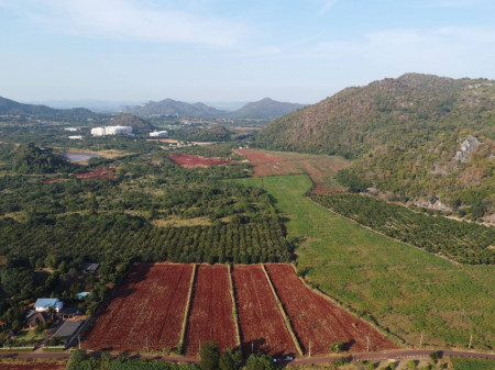 ���Թ 5 ���