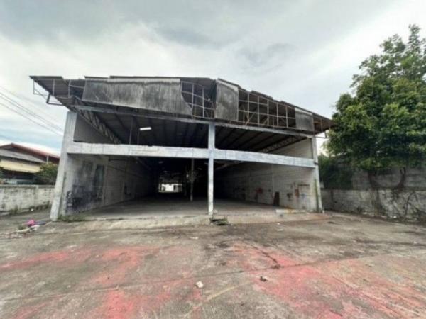 ˹ͧ�͡ �� naorinpl