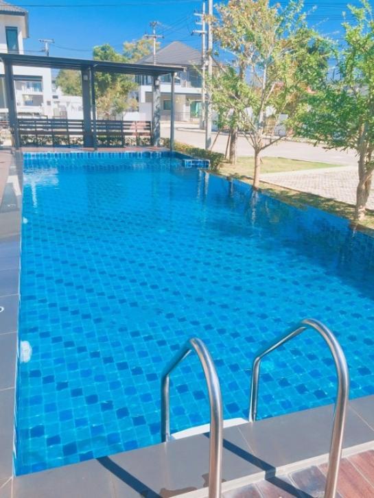 �ѹ���� �� �Ң�ѭ �Ź�����