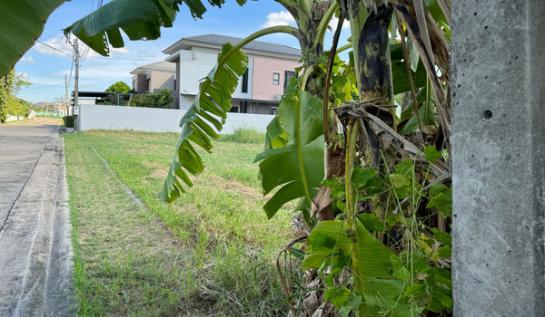 ���Թ index 8,900,000 �ҷ