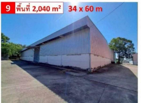 �Ԥ��Ѳ�� �� Pattaya dot Property