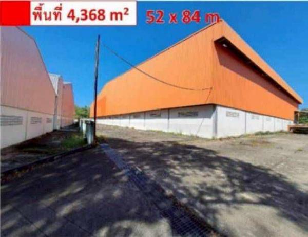 �Ԥ��Ѳ�� �� Pattaya dot Property