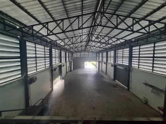 ���⡴ѧ ��ҹ�ҧ���ͧ