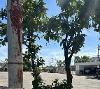 ������⡴ѧ �Ҥһ�С�������� 100,000 �ҷ/��͹