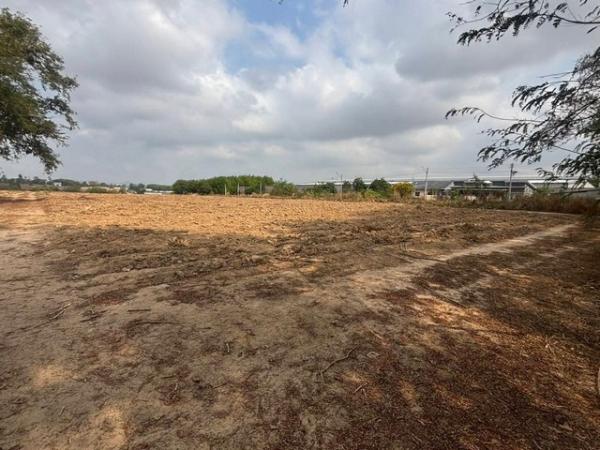 �Ԥ��Ѳ�� �� goodlada24