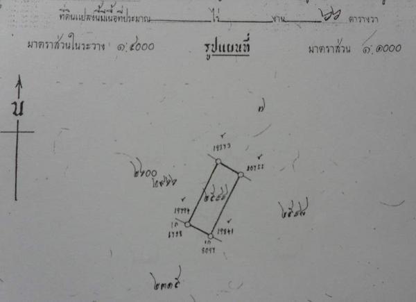 ���Թ������ ���ͧ��������