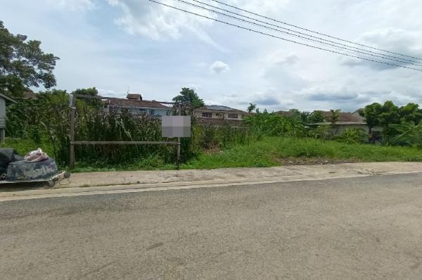 �͹���ͧ �� Baan Bangkok Broker