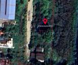 ������ ���Թ