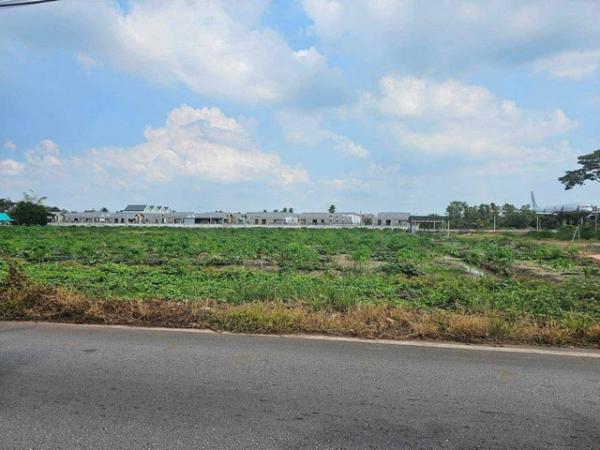 ����Ҫ���� �� amaraphat78