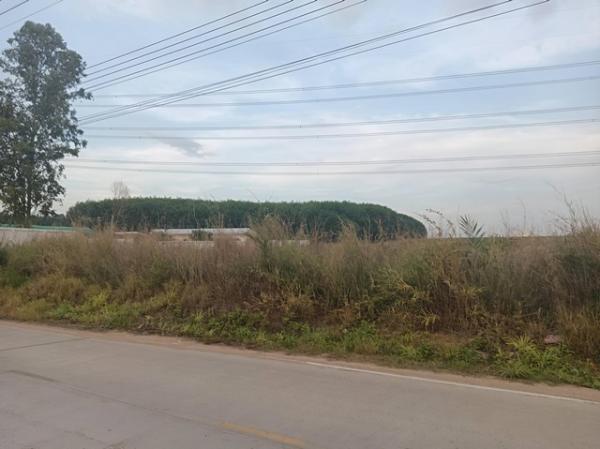 ����Ҫ� �� goodlada24