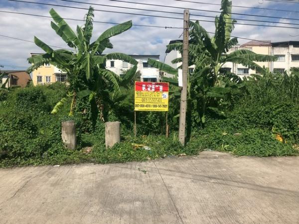 �����ҹ� �� zionasset1