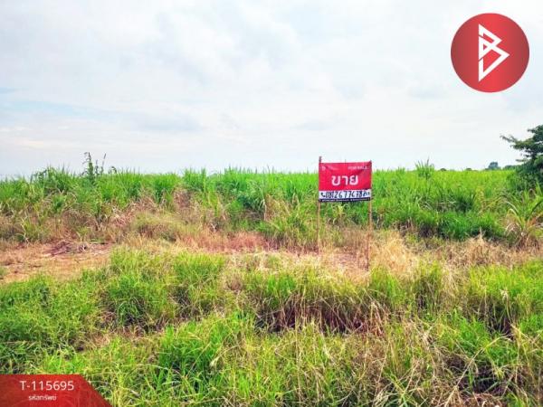 ที่ดิน 5 ไร่ ที่ดิน 5 ไร่