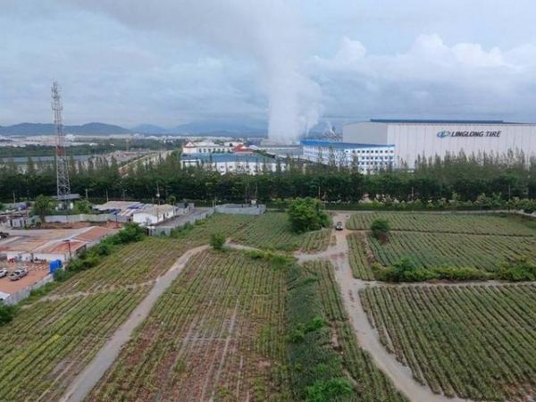 ����Ҫ� �� goodlada24