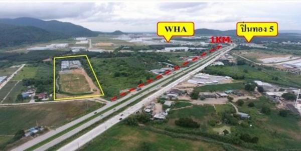 ����Ҫ� �� goodlada24