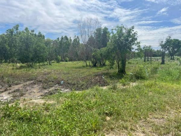 �ҹ�ͧ �� goodlada24