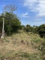 ��·��Թ �Ҥһ�С�Ȣ�� 1,500,000 �ҷ