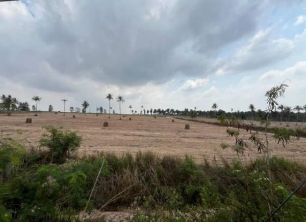 �ѵ�պ �� ahousepost9