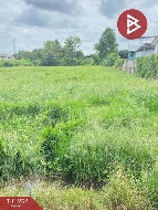 ���Թ 1,292 ���ҧ��