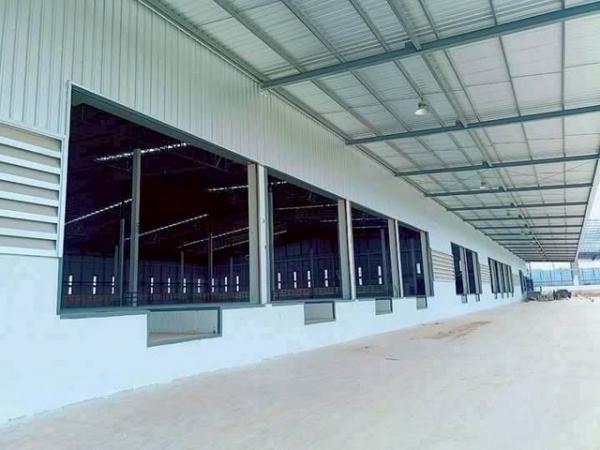 ����Ҫ� �� goodlada24