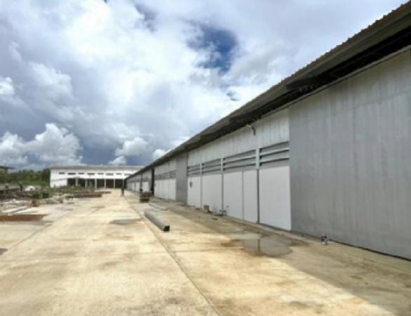 �ҧ��� �� sumalee intavong