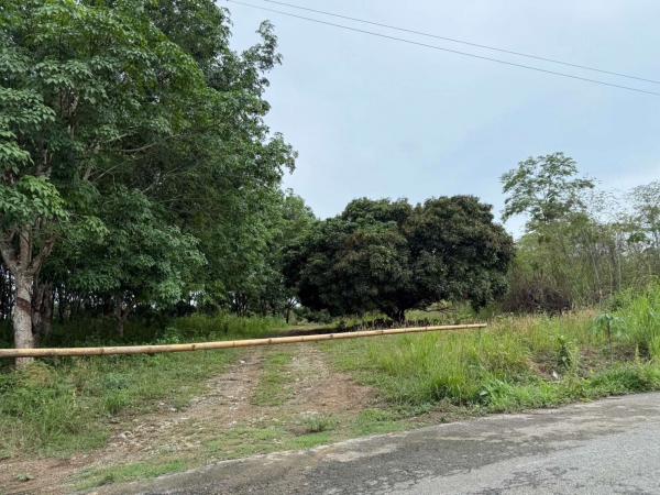 ��¨ѹ����� �� Mapproperty