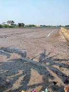 ��·��Թ �Ҥһ�С�Ȣ�� 246,400,000 �ҷ