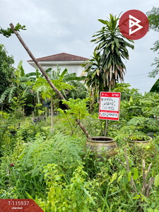 ��·��Թ �ҧ�͹