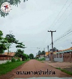 ��� ���Թ ˹ͧ�ҹ 17 ���