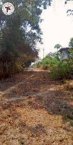 ��� ���Թ ˹ͧ�ҹ �شøҹ�