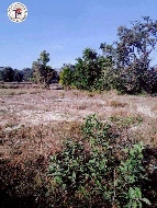 ��� ���Թ ˹ͧ�ҹ