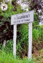 ���Թ 17 ���