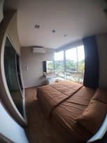 ��¤͹� ���ͧ��§���� ��§����