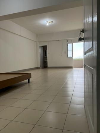 �͹����ͧ������� ���ͧ�������