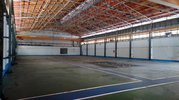 ⡴ѧ���ͧ �� naorinpl