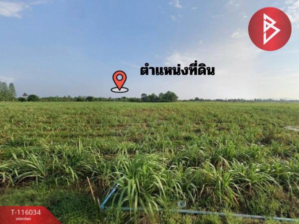 �Ҫ���� �� The Best Property Agent