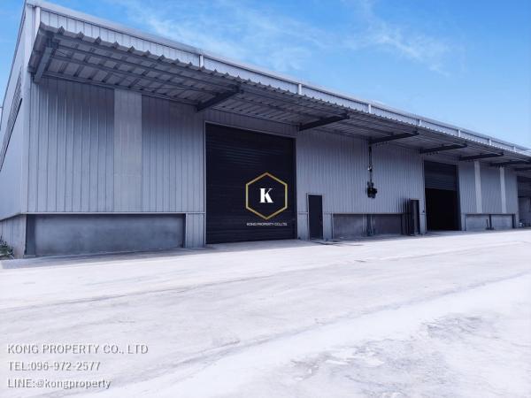 ⡴ѧ��ͧ��ǧ �� Kong property