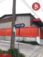 ���Թ �ҧ���