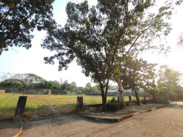 ���Թ �ŧ��� 30,780,000 �ҷ