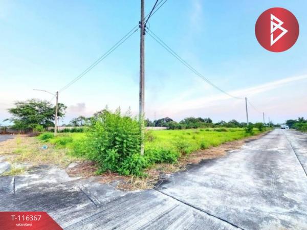 �ź��� �� The Best Property Agent