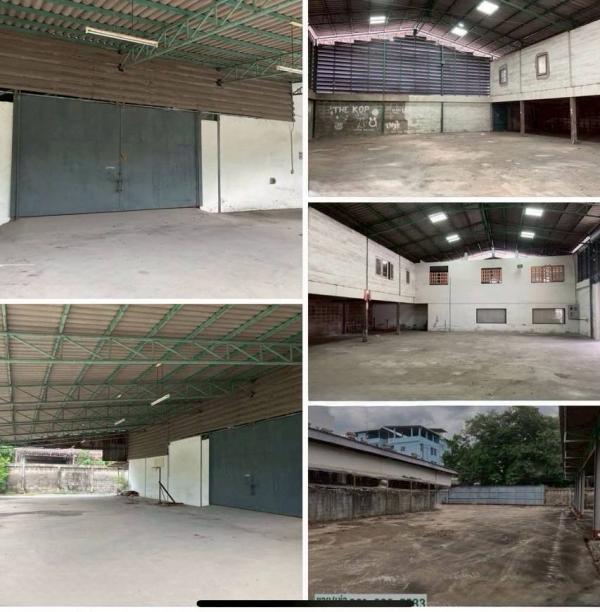 ���⡴ѧ �ҧ�͹��ا෾