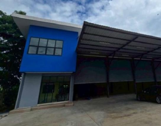 ��ѧ�Թ��������� �ҧ�Ź ��û��