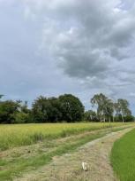 ��� ���Թ ���ͧ�ؾ�ó���� �ؾ�ó����