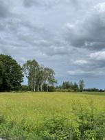 ��� ���Թ ���ͧ