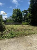 ���Թ �ѹ��ᾧ