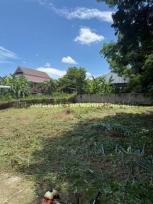 ���Թ �ѹ��ᾧ 100 ���ҧ��