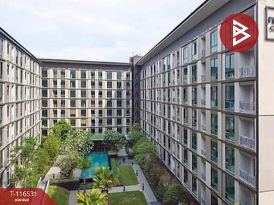 �͹����ͧ���ԧ��� ���ͧ���ԧ���