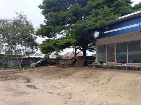 �ҧ�л� �� bbest2