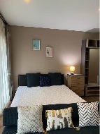 ������ �͹�