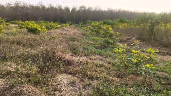 ��·��Թ ����ǧ ���