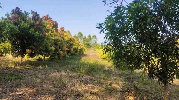 ��·��Թ ����ǧ ���